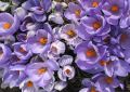 Gracieuset� de Photographie Louise Gigu�re