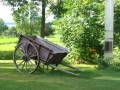 Gracieuset� de Photographie Louise Gigu�re