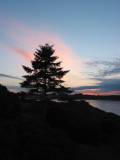 Gracieuset� de Photographie Louise Gigu�re