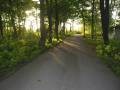 Gracieuset� de Photographie Louise Gigu�re