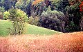 Gracieuset� de Photographie Louise Gigu�re