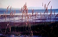 Gracieuset� de Photographie Louise Gigu�re
