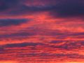 Gracieuset� de Photographie Louise Gigu�re