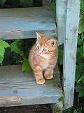 Gracieuset� de Photographie Louise Gigu�re