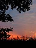 Gracieuset� de Photographie Louise Gigu�re