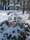 Gracieuset� de Photographie Louise Gigu�re