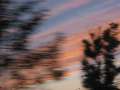 Gracieuset� de Photographie Louise Gigu�re